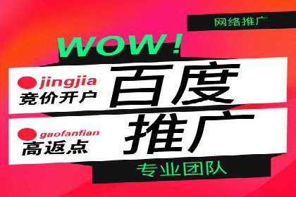 SEM专员实战案例解析